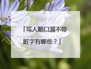 骂人顺口溜不带脏字有哪些？