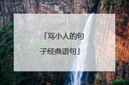 骂小人的句子经典语句