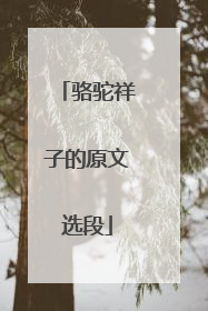 骆驼祥子的原文选段