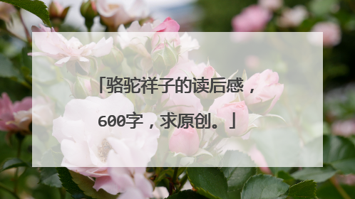 骆驼祥子的读后感,600字,求原创。