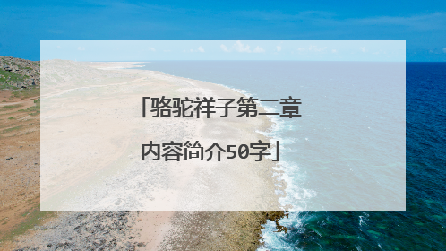骆驼祥子第二章内容简介50字