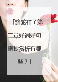 骆驼祥子第二章好词好句摘抄赏析有哪些?