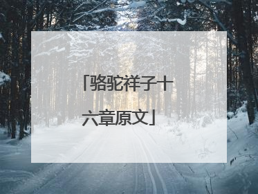 骆驼祥子十六章原文