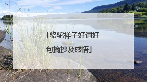 骆驼祥子好词好句摘抄及感悟