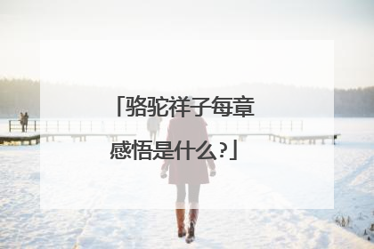 骆驼祥子每章感悟是什么?