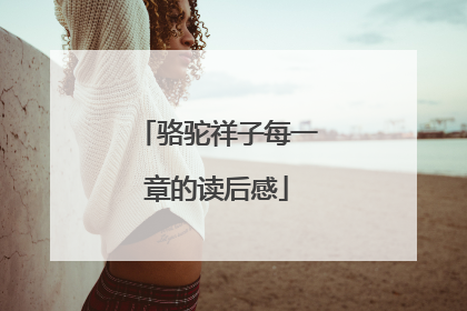 骆驼祥子每一章的读后感