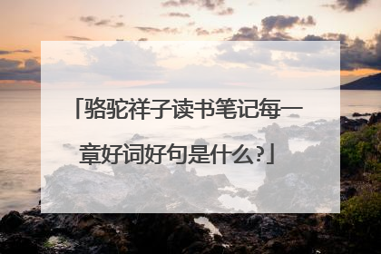骆驼祥子读书笔记每一章好词好句是什么?