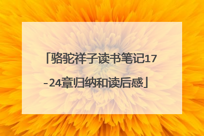 骆驼祥子读书笔记17-24章归纳和读后感