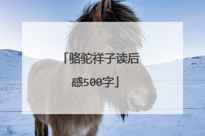 骆驼祥子读后感500字