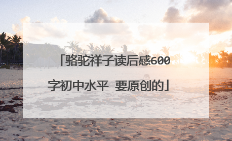骆驼祥子读后感600字初中水平 要原创的