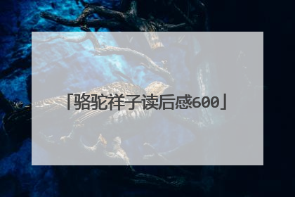 骆驼祥子读后感600
