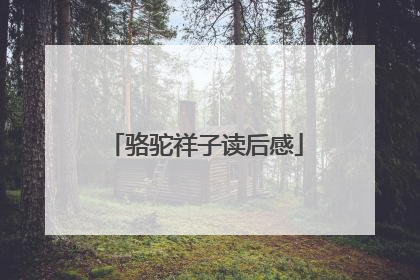 骆驼祥子读后感