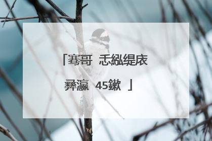 骞哥�忎紭缇庡彞瀛�45鏉�