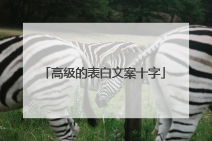 高级的表白文案十字