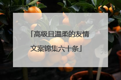 高级且温柔的友情文案锦集六十条