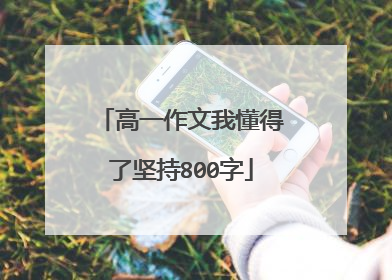 高一作文我懂得了坚持800字