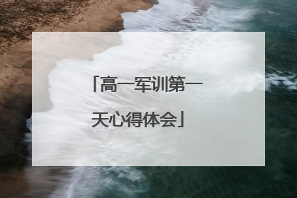 高一军训第一天心得体会