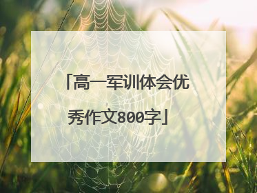 高一军训体会优秀作文800字