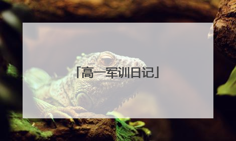 高一军训日记