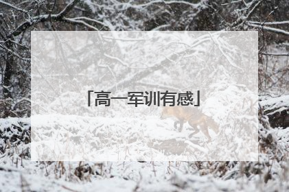 高一军训有感