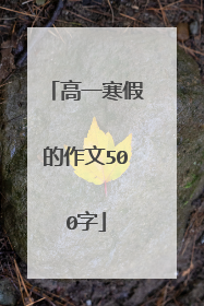 高一寒假的作文500字