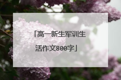 高一新生军训生活作文800字