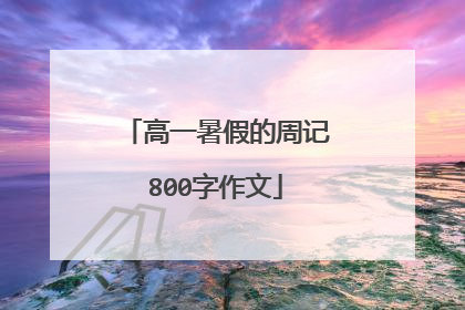 高一暑假的周记800字作文