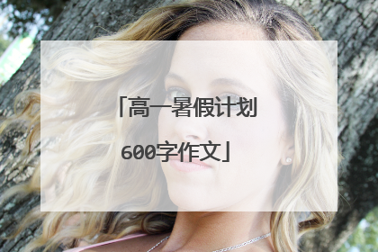 高一暑假计划600字作文