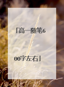 高一随笔600字左右