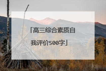 高三综合素质自我评价500字