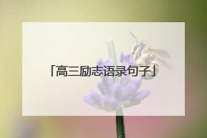 高三励志语录句子