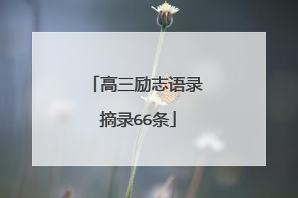 高三励志语录摘录66条