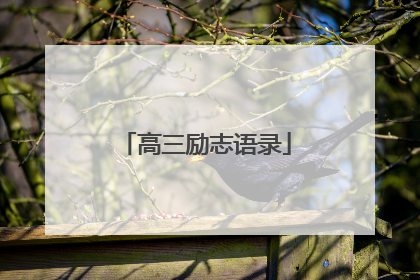高三励志语录