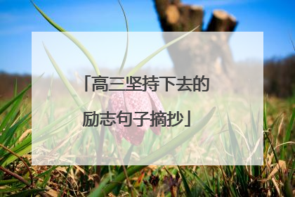 高三坚持下去的励志句子摘抄