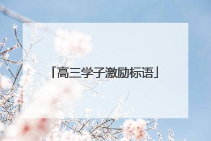 高三学子激励标语
