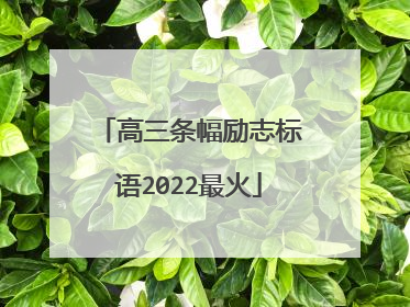 高三条幅励志标语2022最火