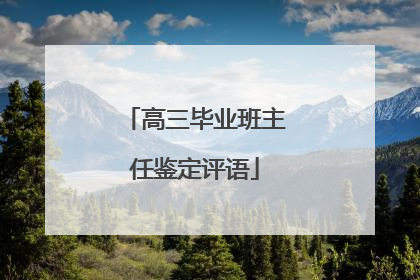 高三毕业班主任鉴定评语