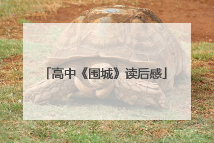 高中《围城》读后感