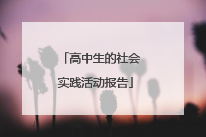 高中生的社会实践活动报告