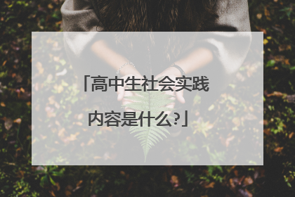 高中生社会实践内容是什么?