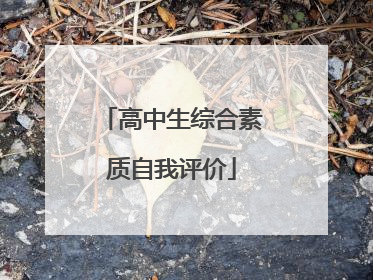 高中生综合素质自我评价