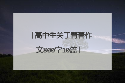 高中生关于青春作文800字10篇