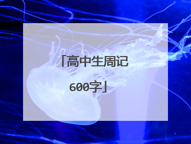 高中生周记600字