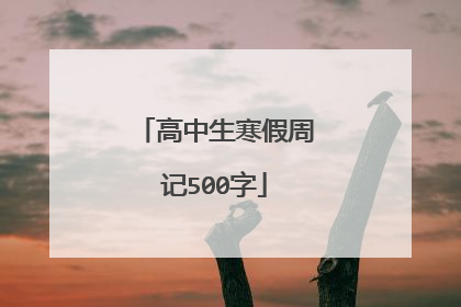 高中生寒假周记500字
