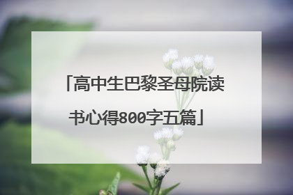 高中生巴黎圣母院读书心得800字五篇