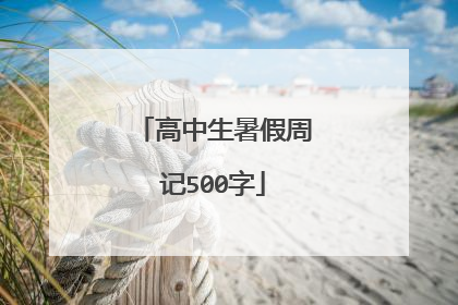 高中生暑假周记500字