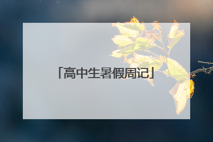 高中生暑假周记