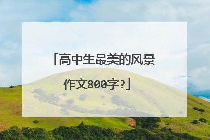 高中生最美的风景作文800字?