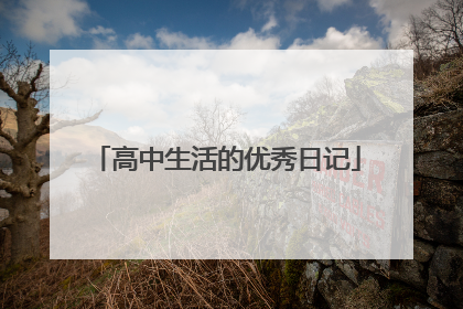 高中生活的优秀日记