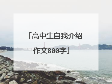 高中生自我介绍作文800字